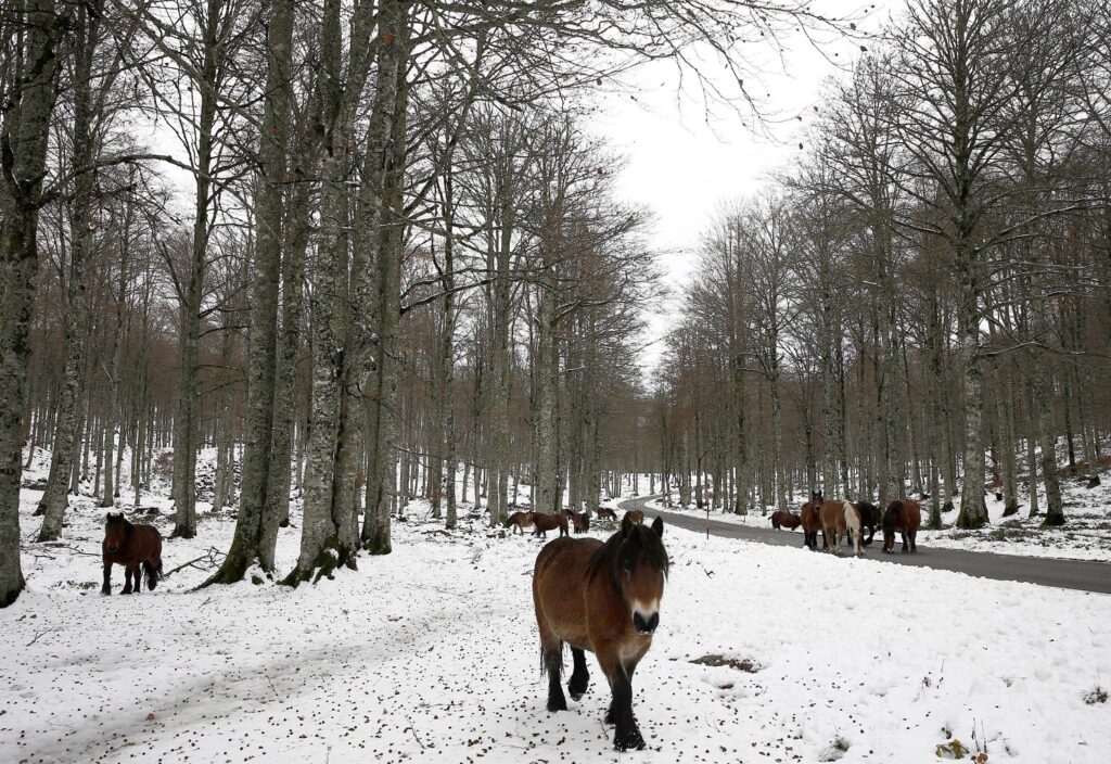 neve spagna