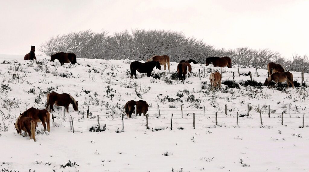 neve spagna