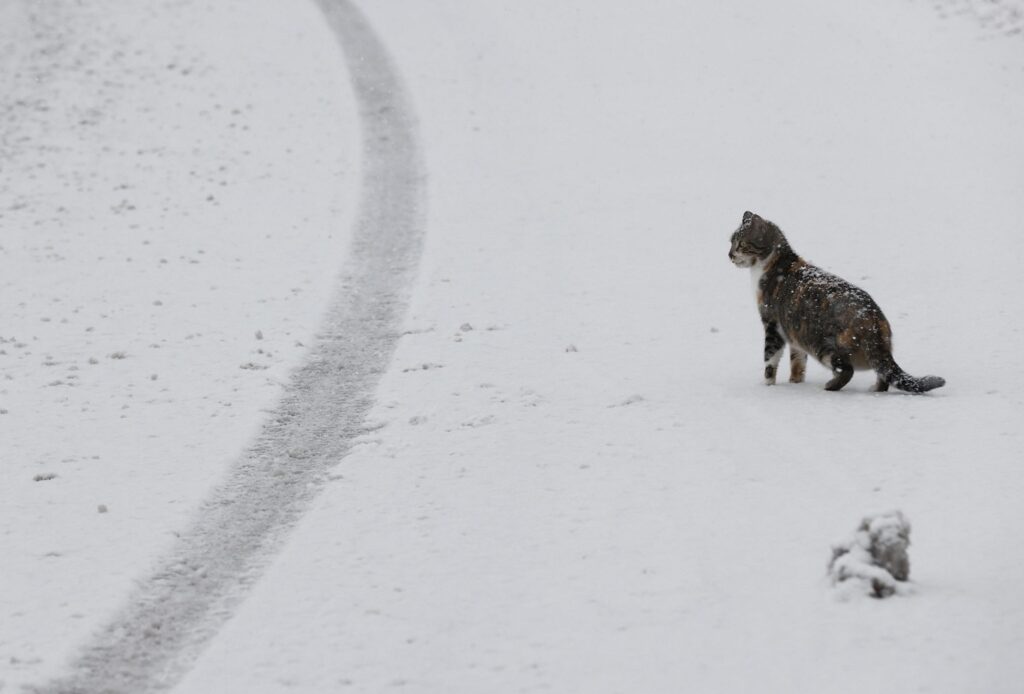 neve spagna