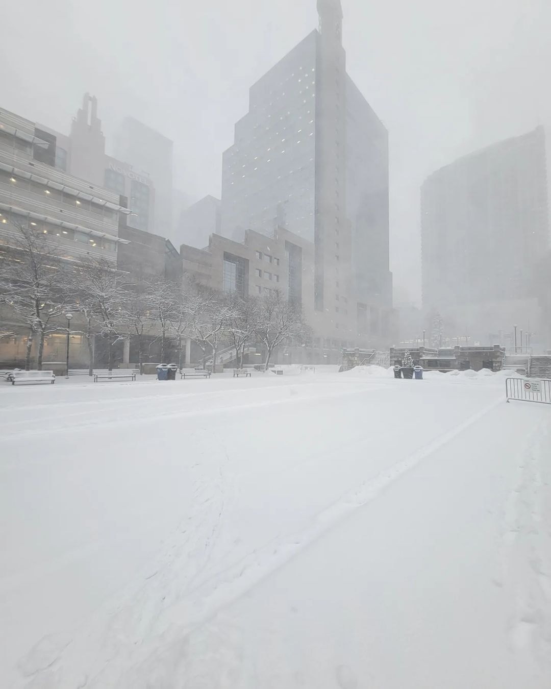 neve toronto canada