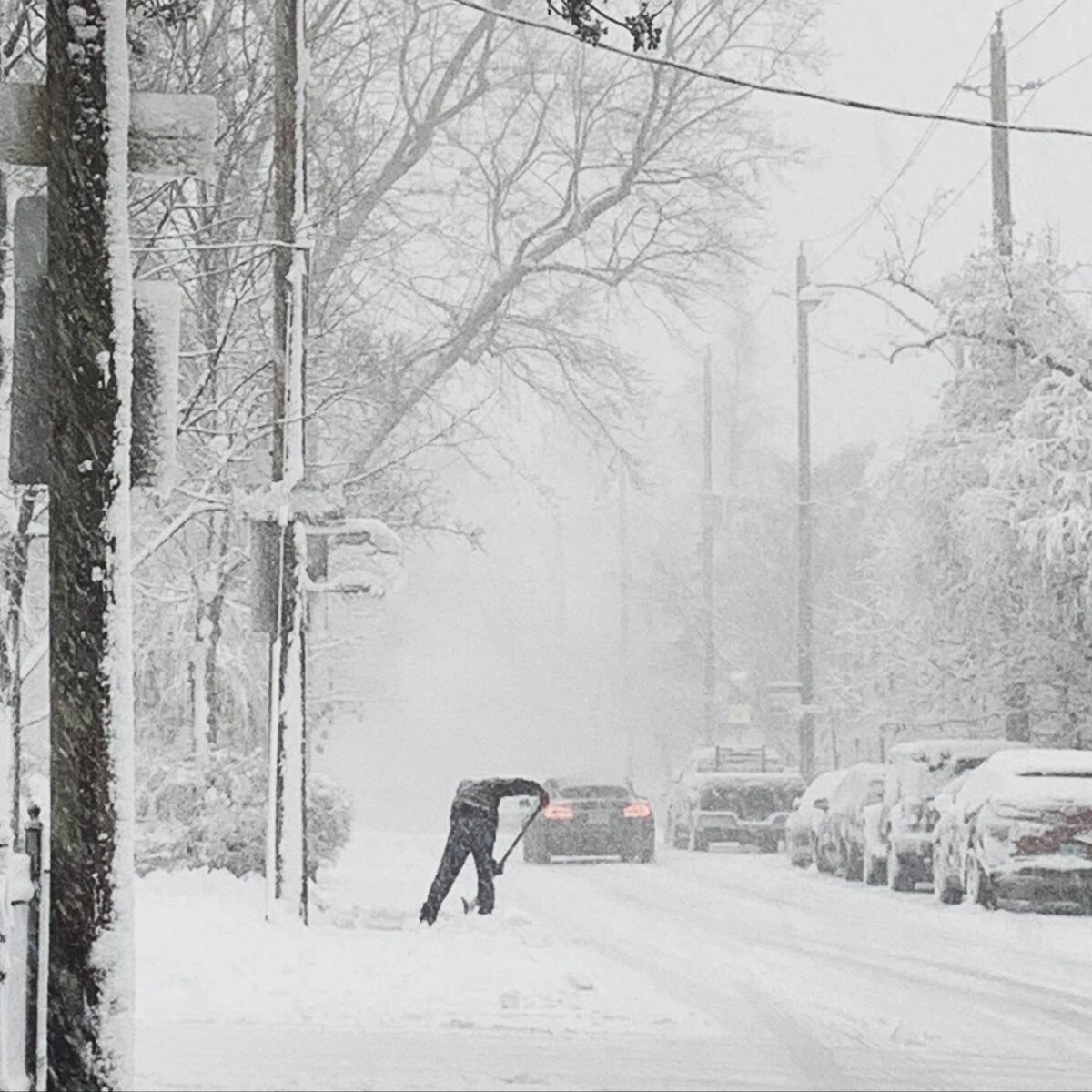 neve toronto canada