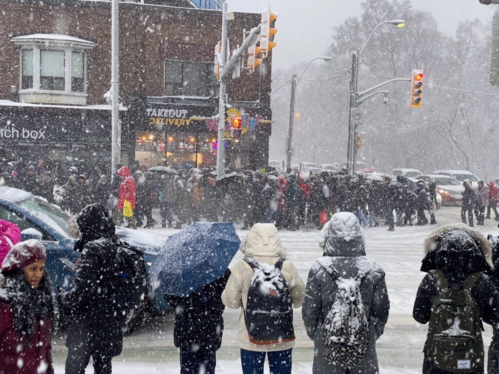 neve toronto canada