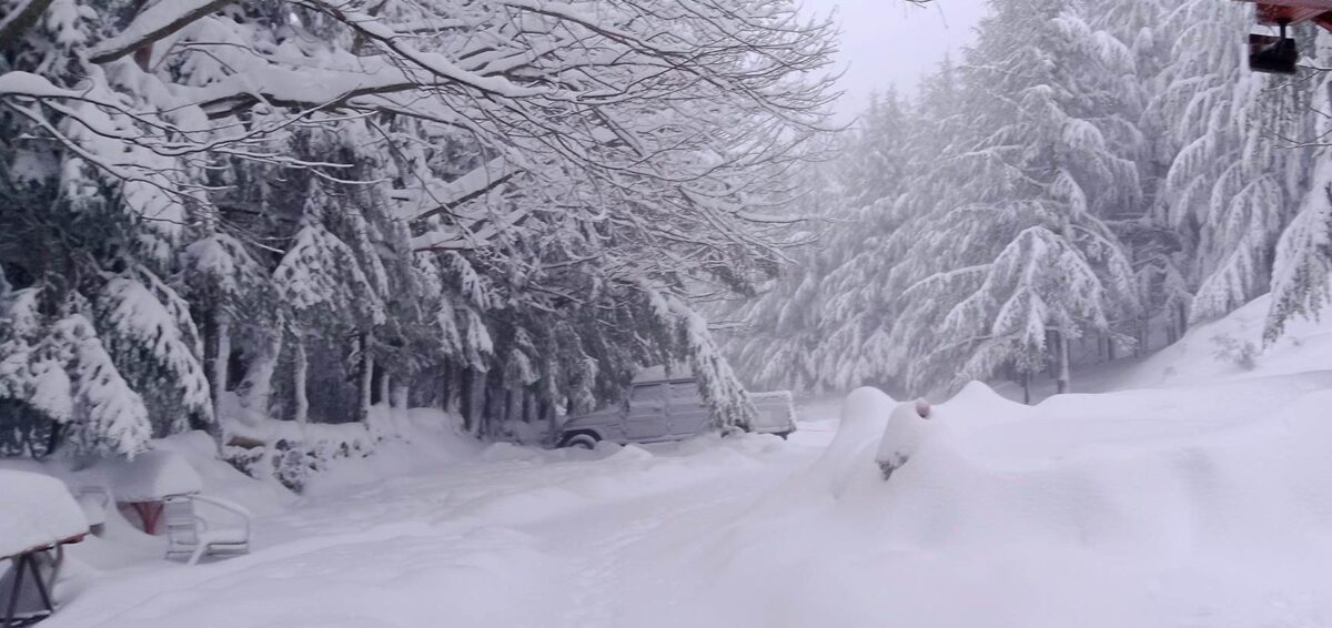 Su Separadorgiu (Fonni) neve