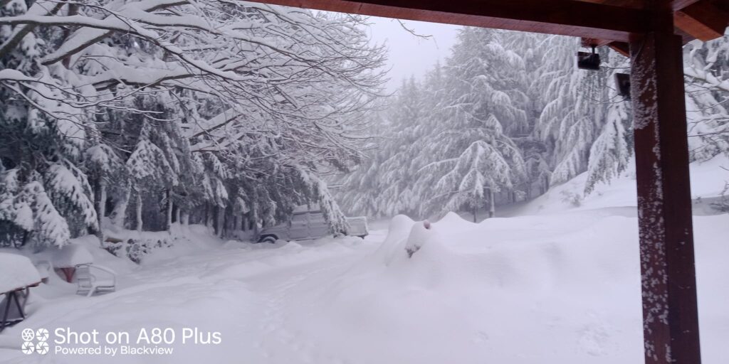 Su Separadorgiu (Fonni) neve