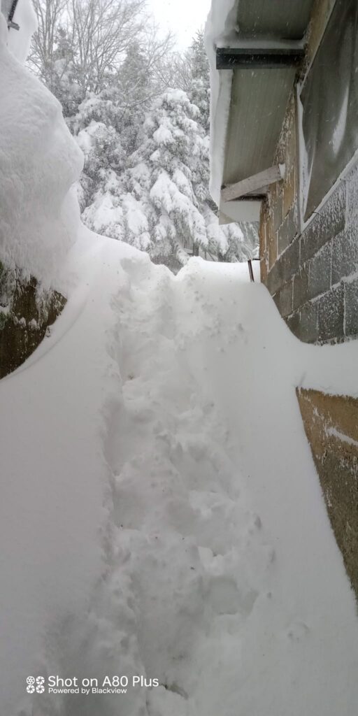 Su Separadorgiu (Fonni) neve