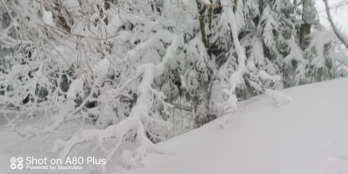 Su Separadorgiu (Fonni) neve