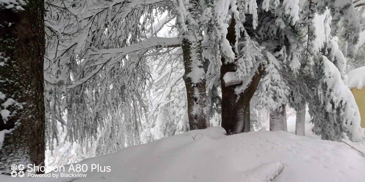 Su Separadorgiu (Fonni) neve