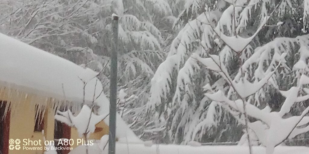 Su Separadorgiu (Fonni) neve