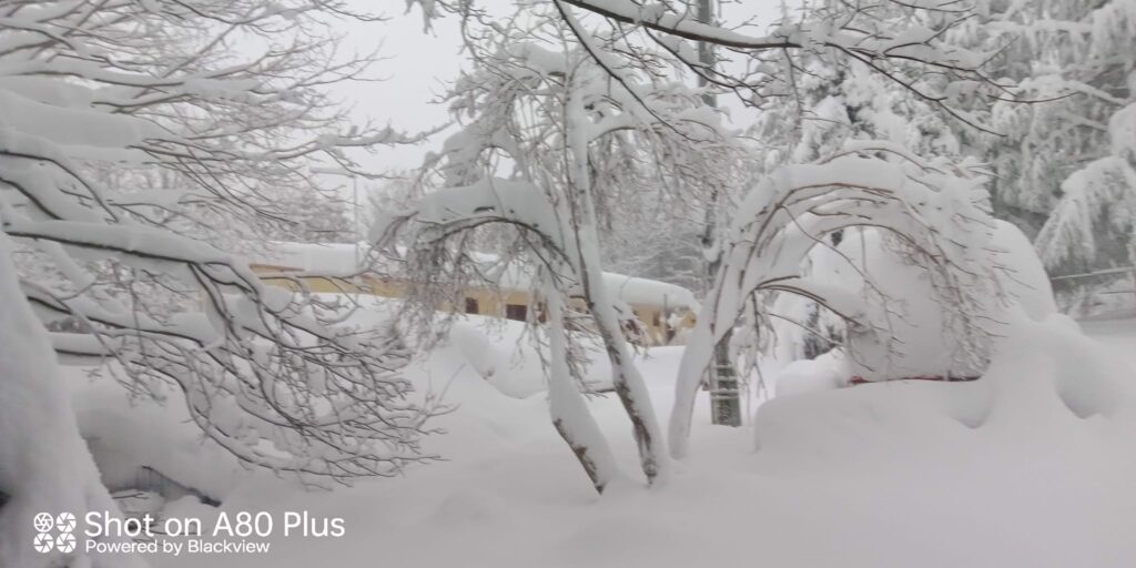 Su Separadorgiu (Fonni) neve