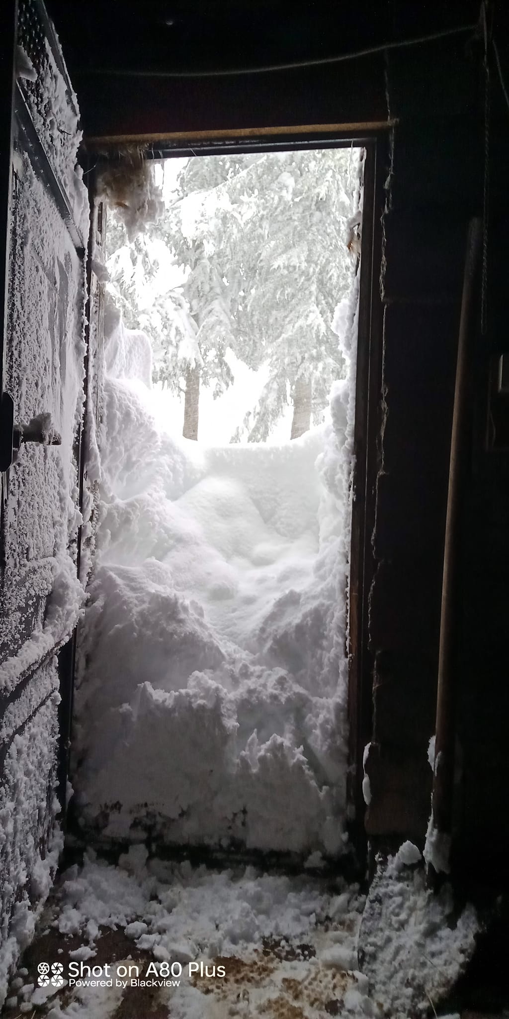 Su Separadorgiu (Fonni) neve