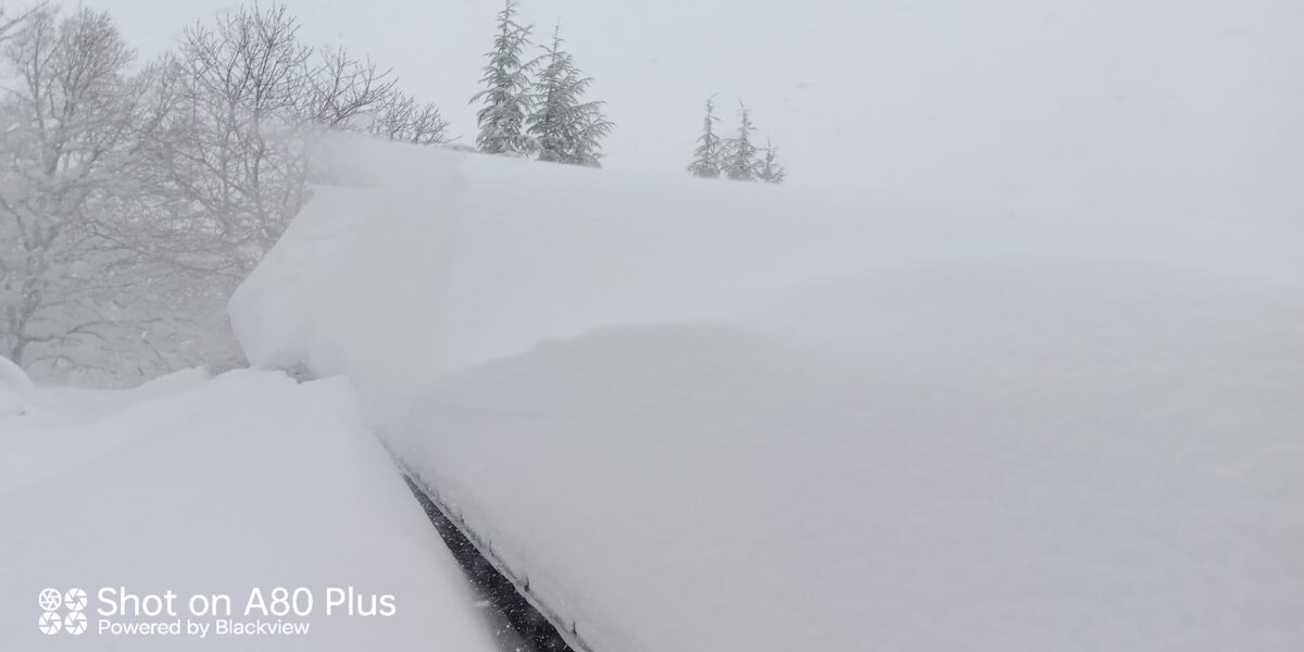 Su Separadorgiu (Fonni) neve