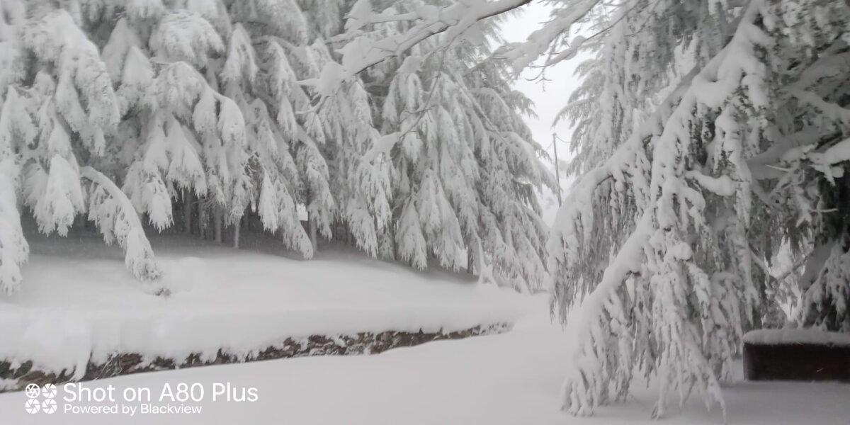 Su Separadorgiu (Fonni) neve