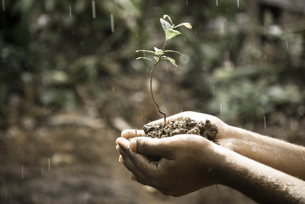 agricoltura e terreno carbonio