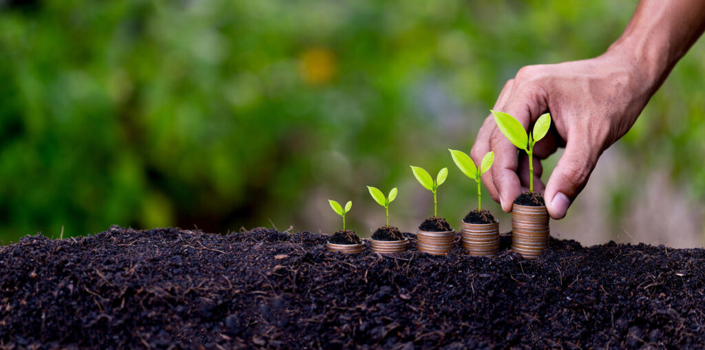 agricoltura e sostenibilità