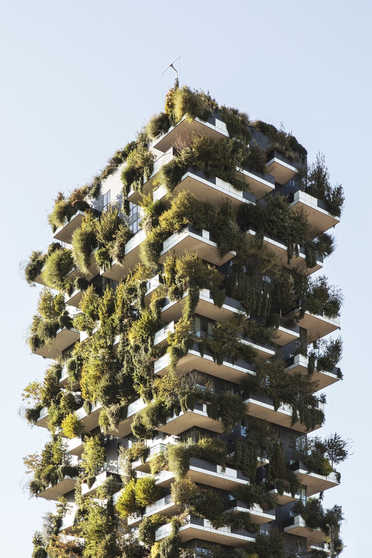 bosco verticale Stefano Boeri