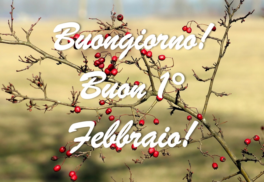 buongiorno buon 1 febbraio benvenuto