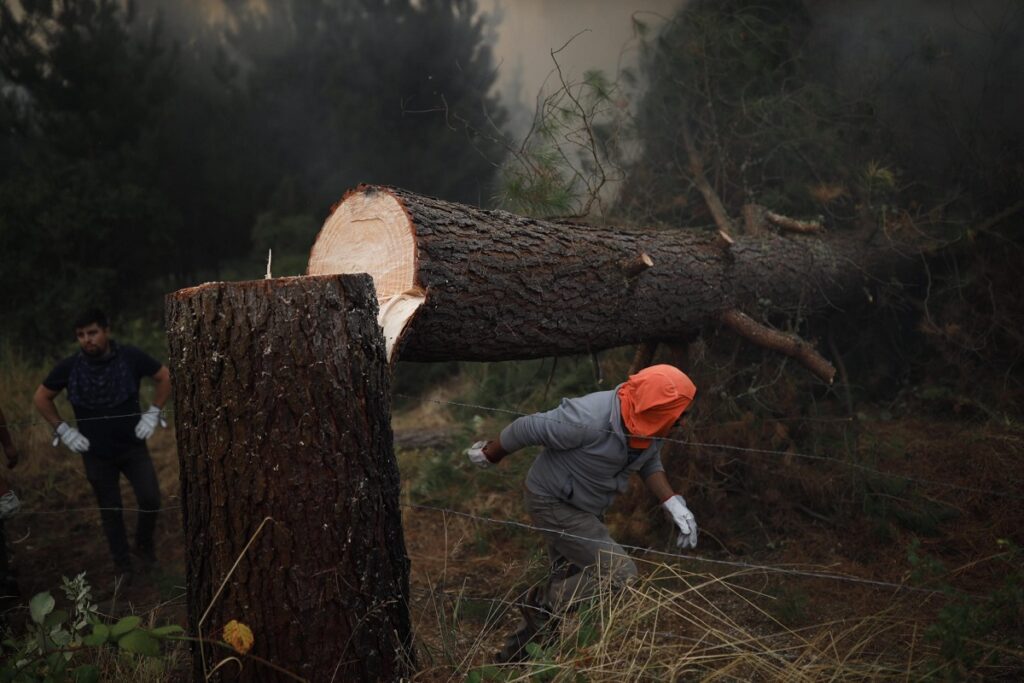 Incendi cile