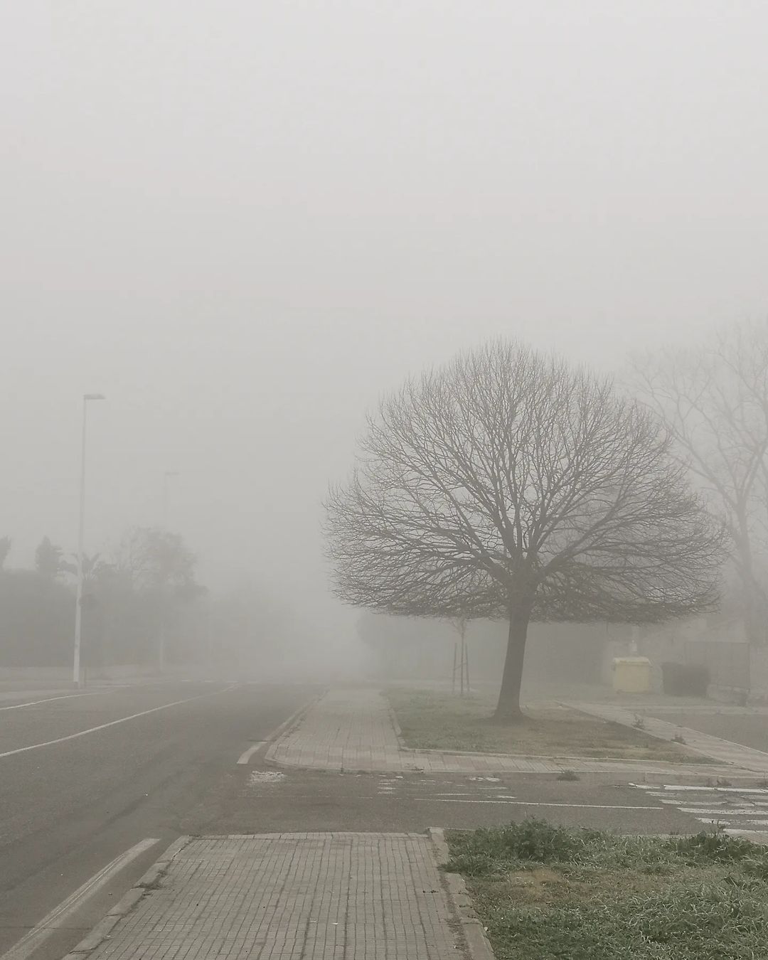 nebbia cagliari oggi 22 febbraio