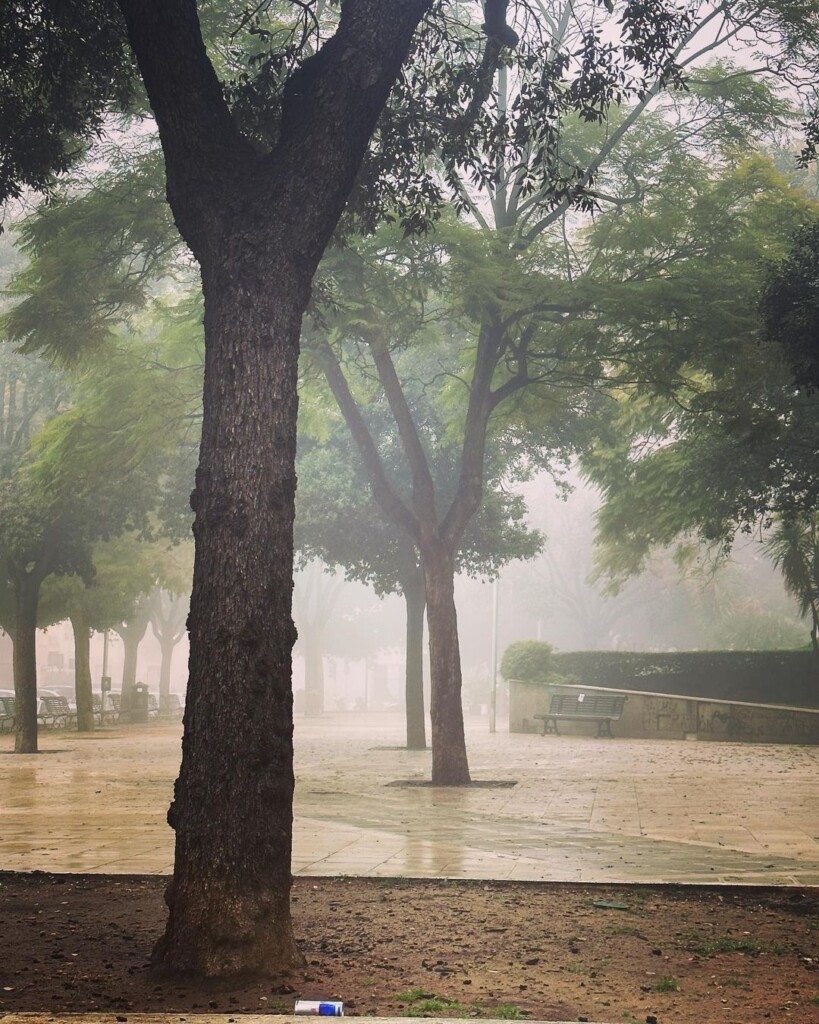 nebbia cagliari oggi 22 febbraio