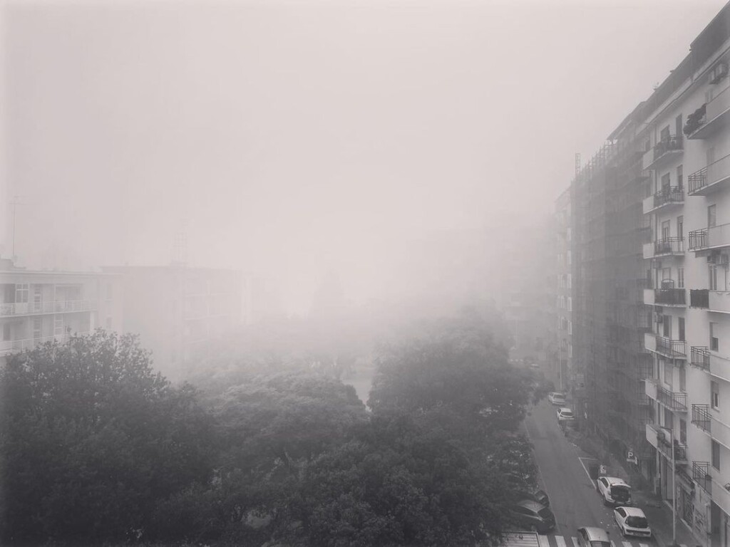 nebbia cagliari oggi 22 febbraio