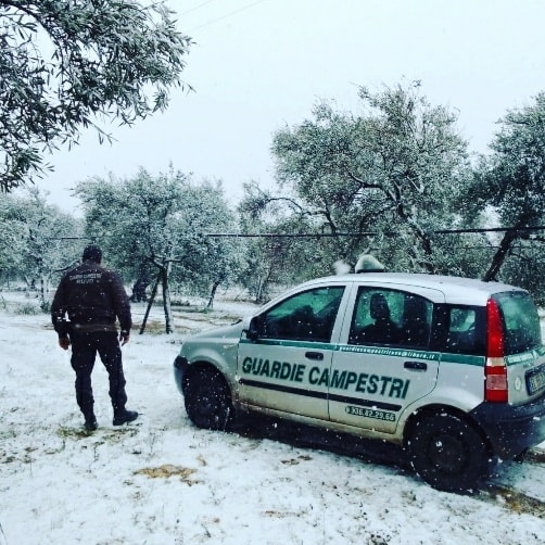 neve Ruvo di Puglia