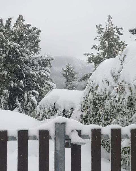 neve Selva di Serramazzoni