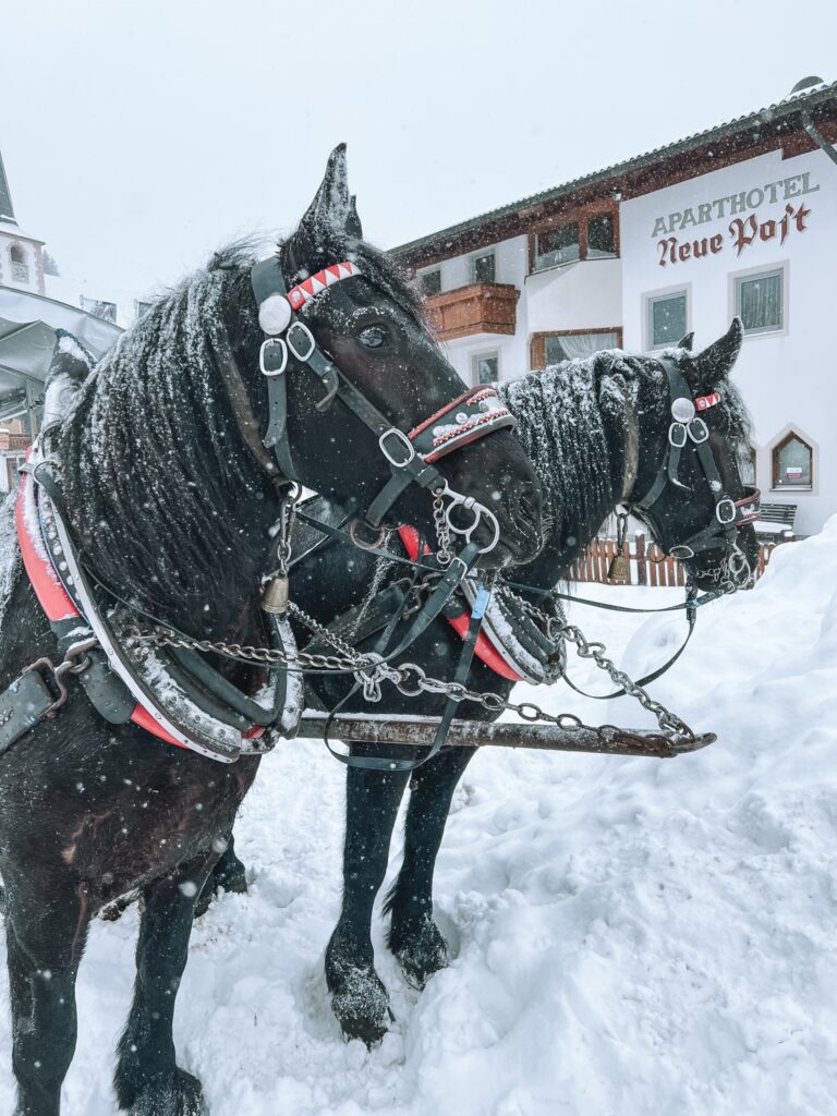 neve austria