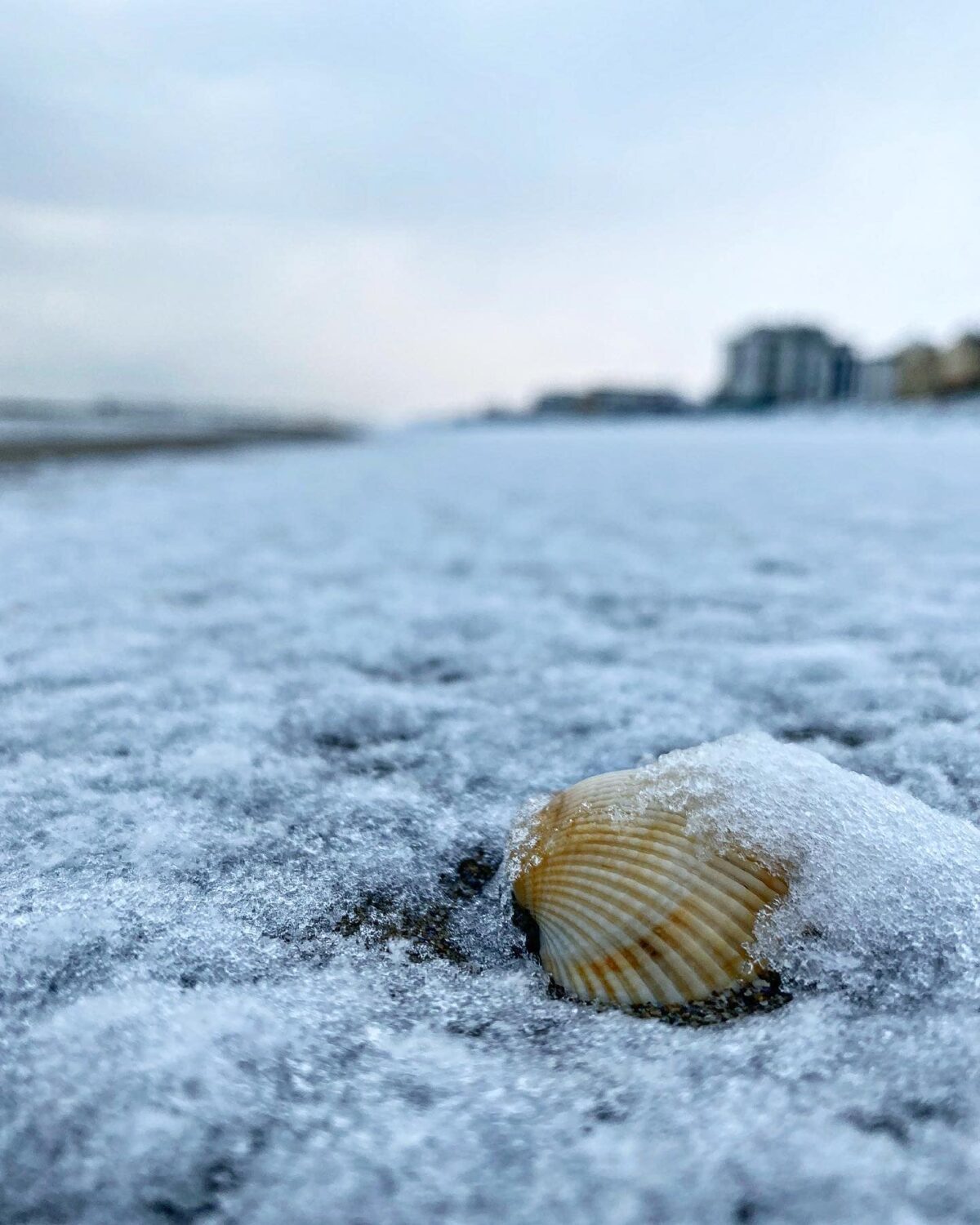 neve bellaria rimini