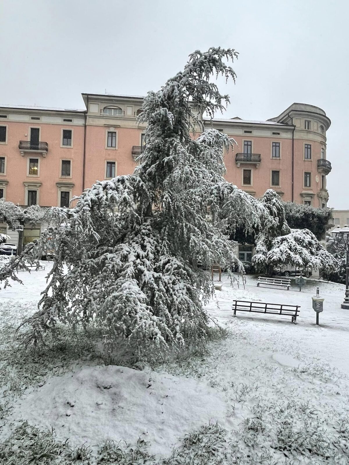 neve campobasso molise