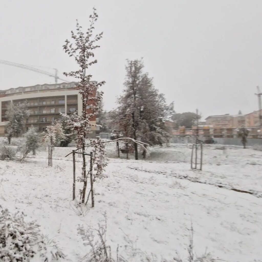 neve campobasso molise