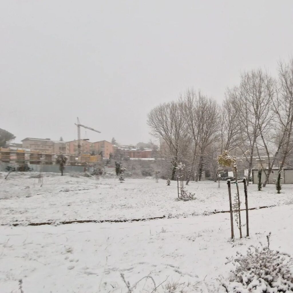 neve campobasso molise