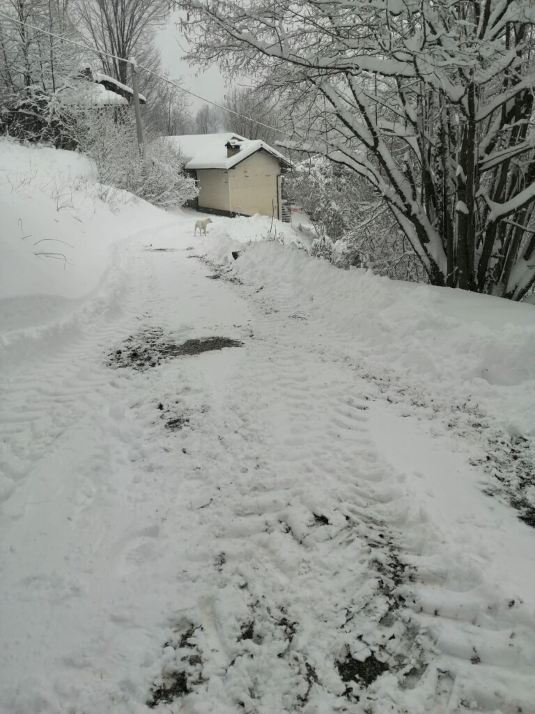 neve cuneo 27 febbraio