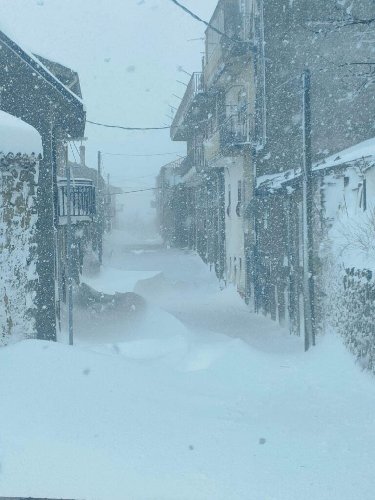 floresta nevicata del secolo 9 febbraio 2023