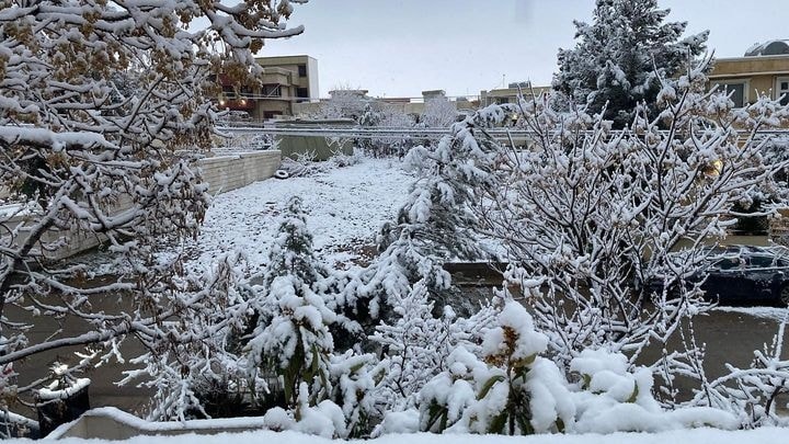 neve iraq