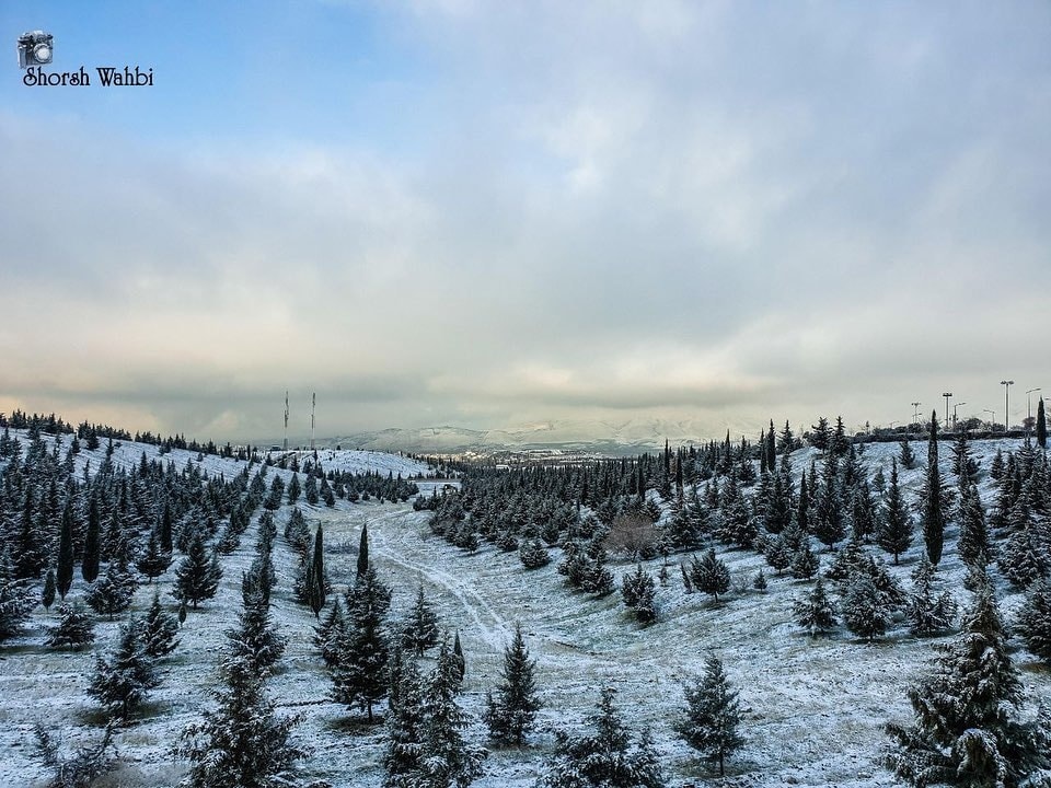 neve iraq