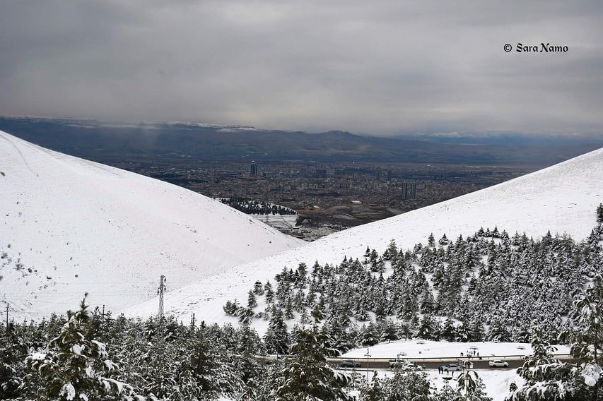 neve iraq