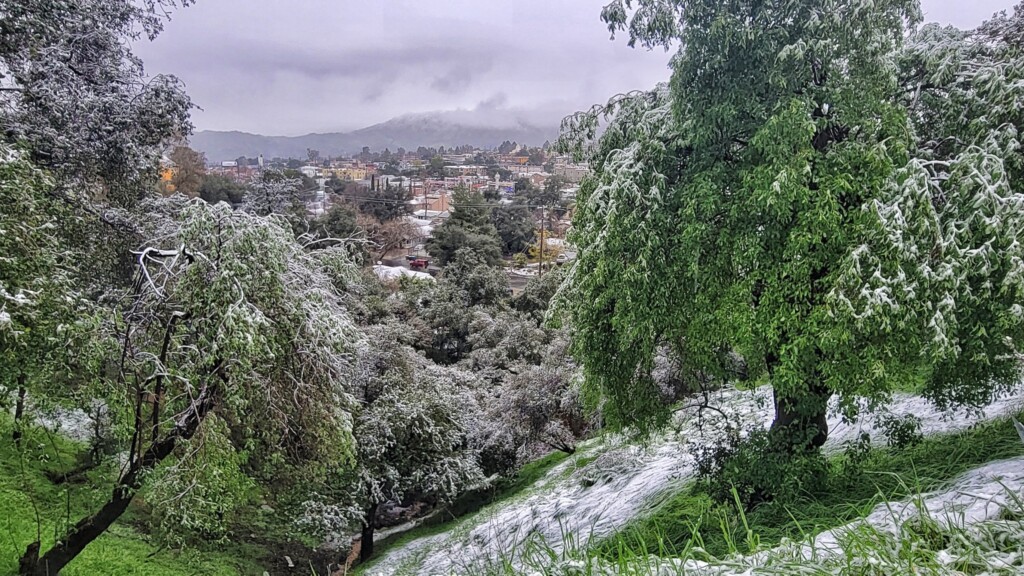 neve los angeles