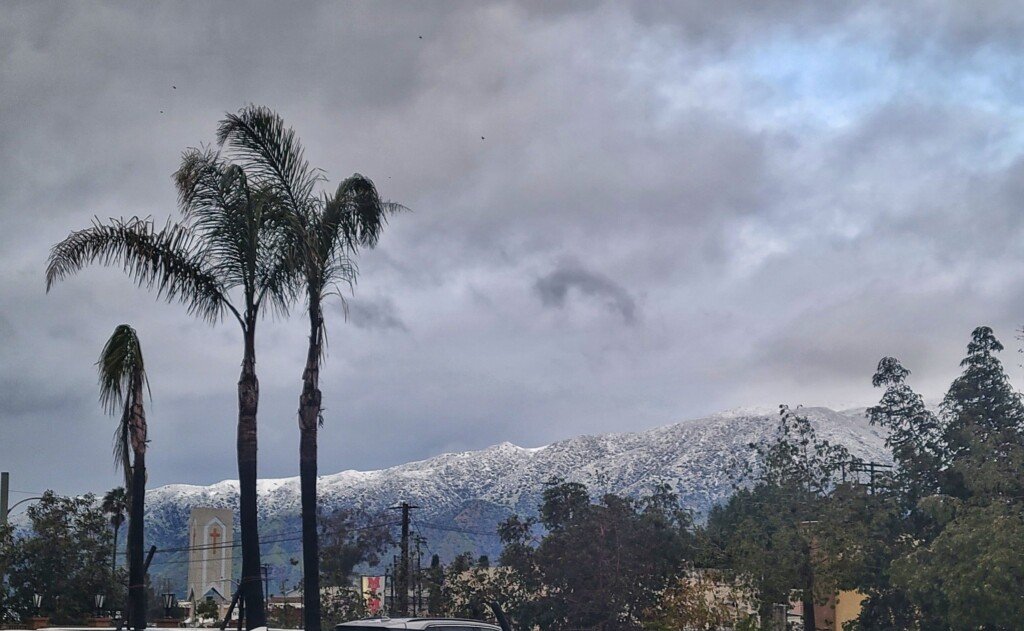 neve los angeles