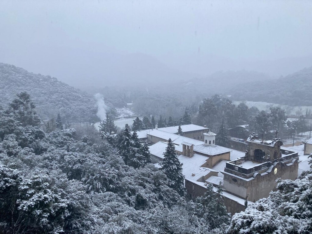 neve maiorca