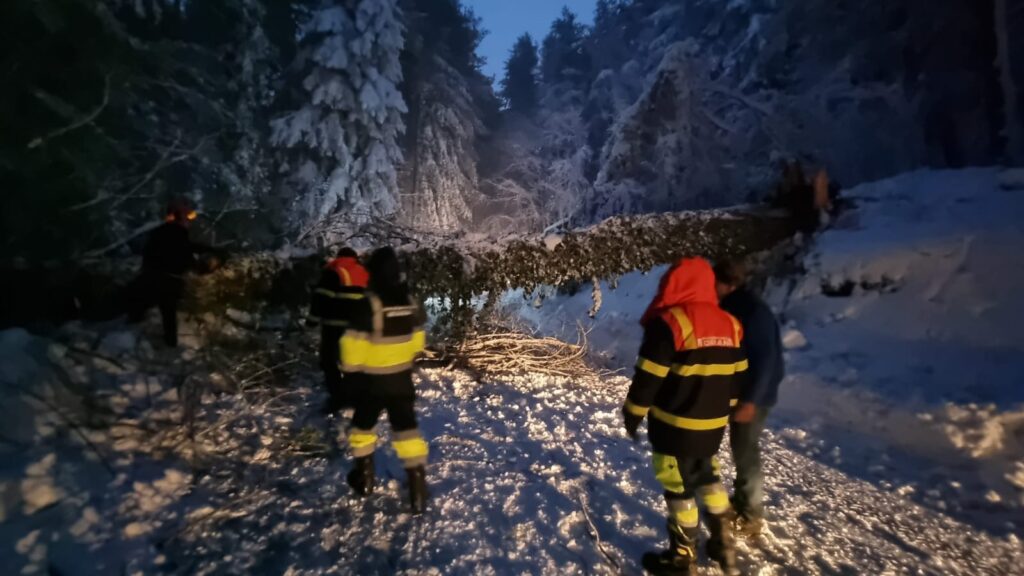 neve mongiana 9 febbraio 2023