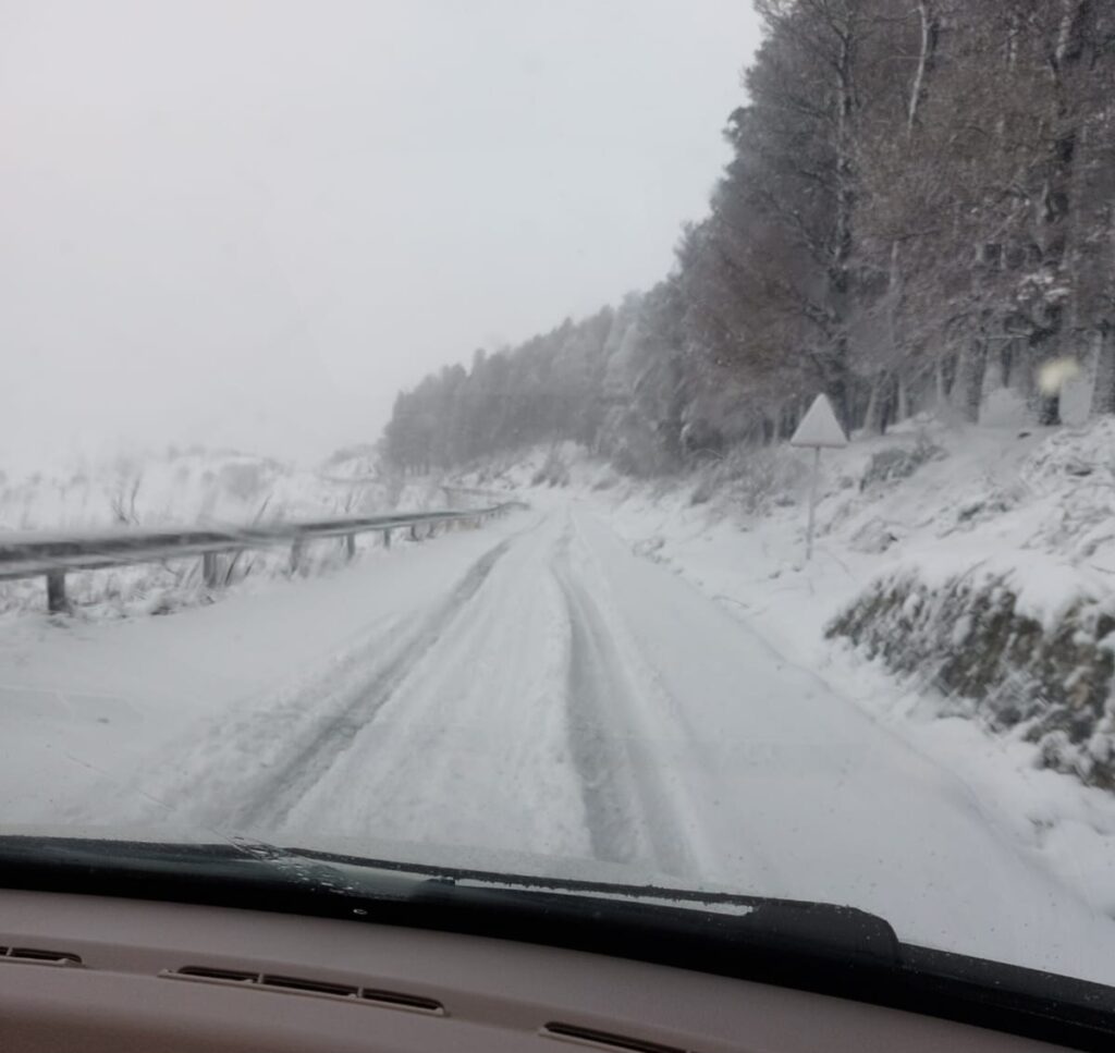 neve roccaforte del greco