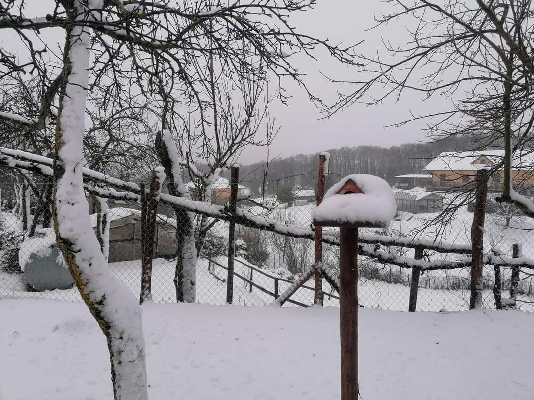 neve serra san bruno 9 febbraio 2023