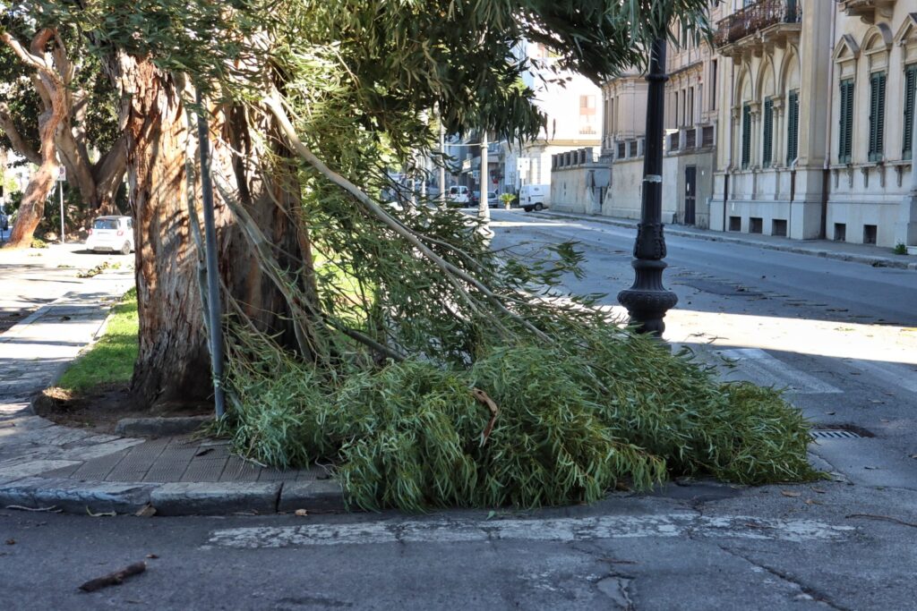 reggio calabria forte vento tramontana 5 febbraio 2023