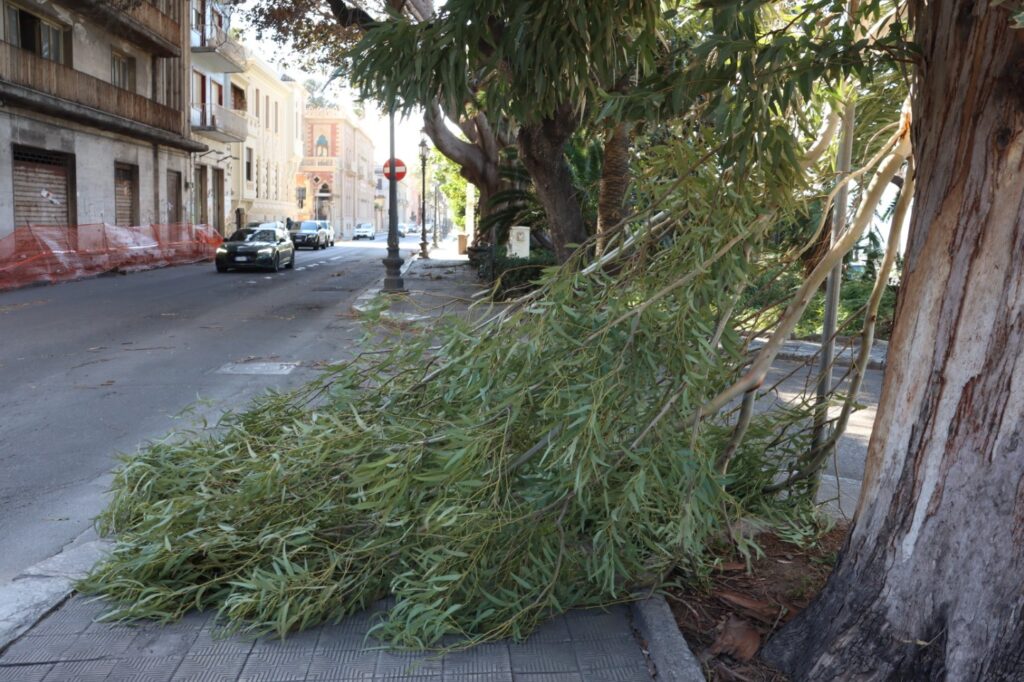 reggio calabria forte vento tramontana 5 febbraio 2023