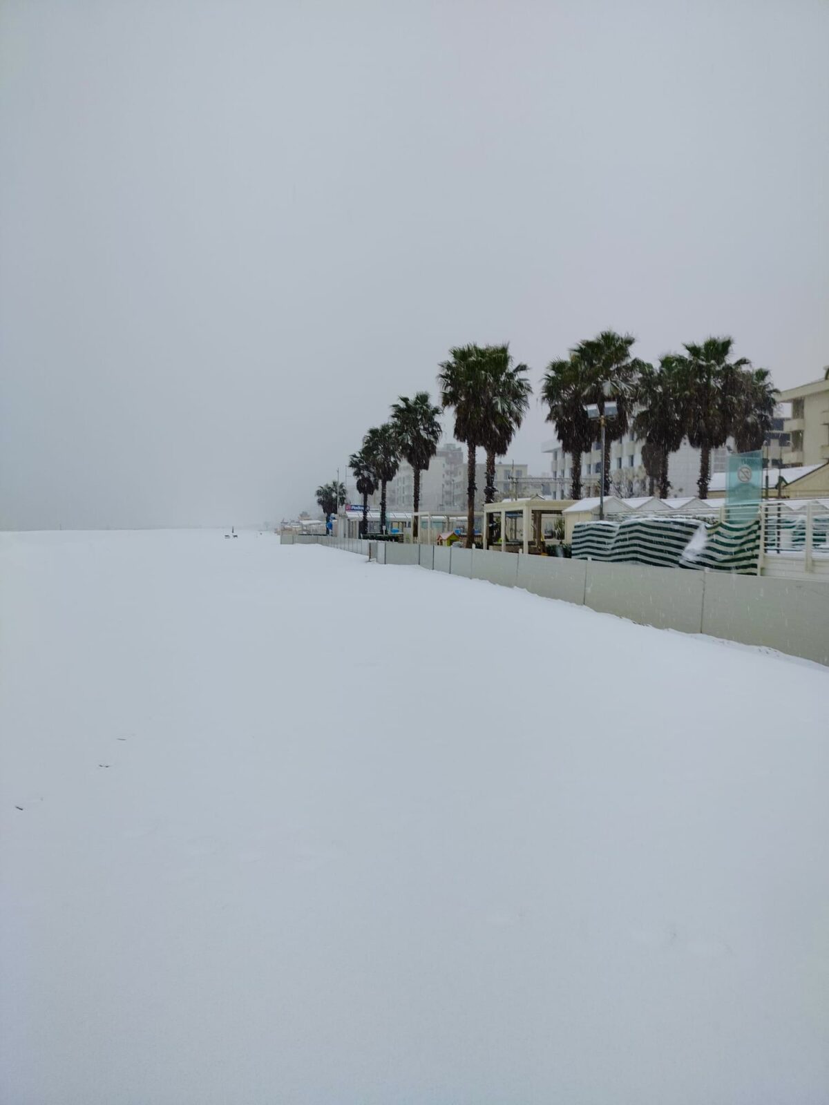 neve riccione