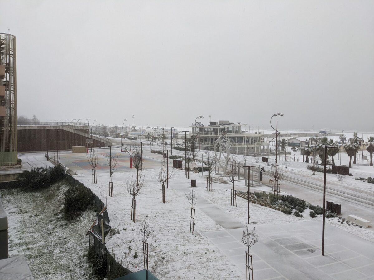 neve rimini