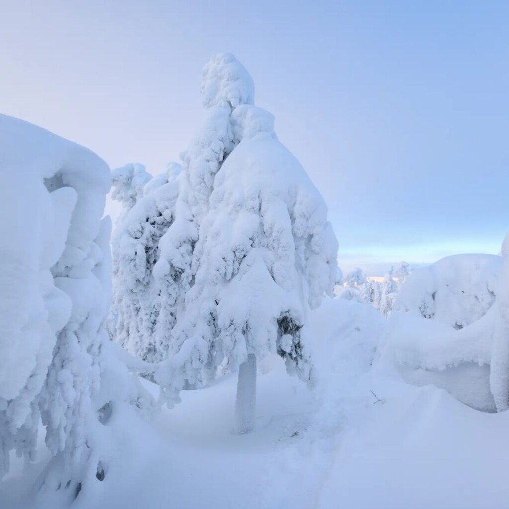 russia gelo neve freddo ghiaccio