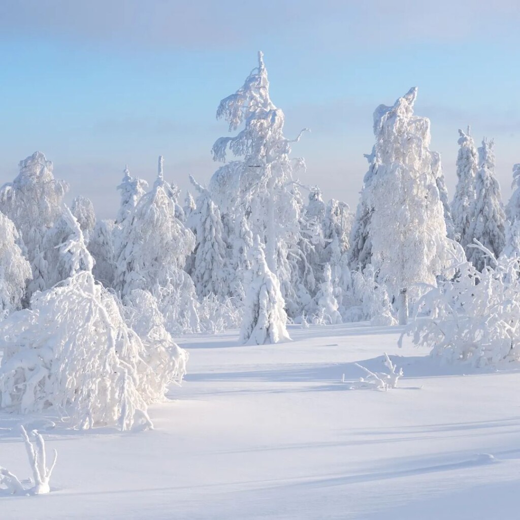 russia gelo neve freddo ghiaccio