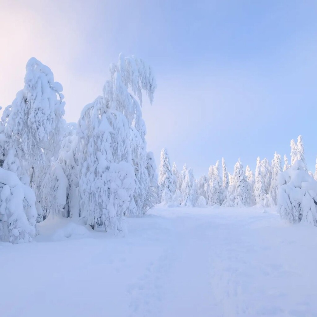 russia gelo neve freddo ghiaccio