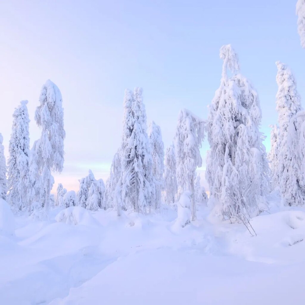 russia gelo neve freddo ghiaccio